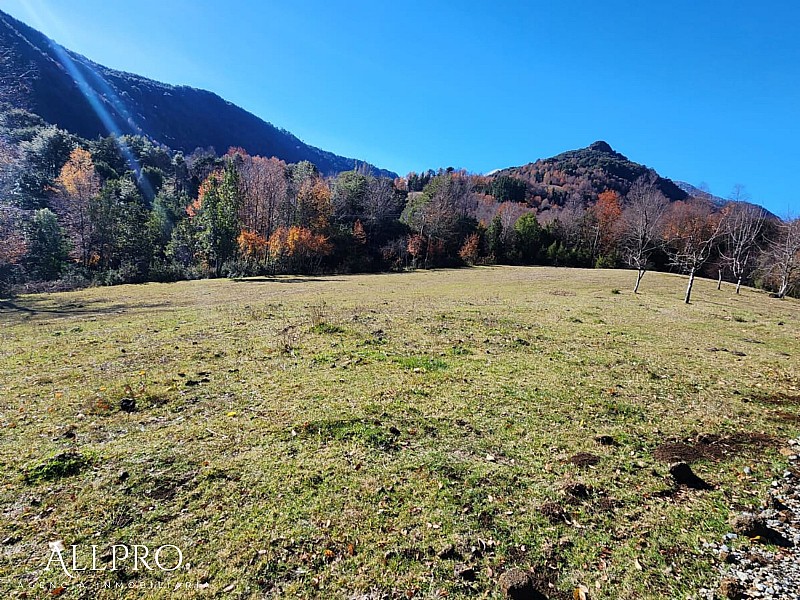 Venta Parcela Pucón - La Araucanía