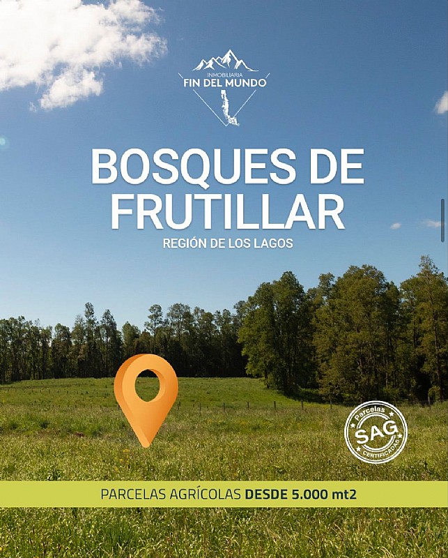 Venta Parcela Frutillar - Los Lagos