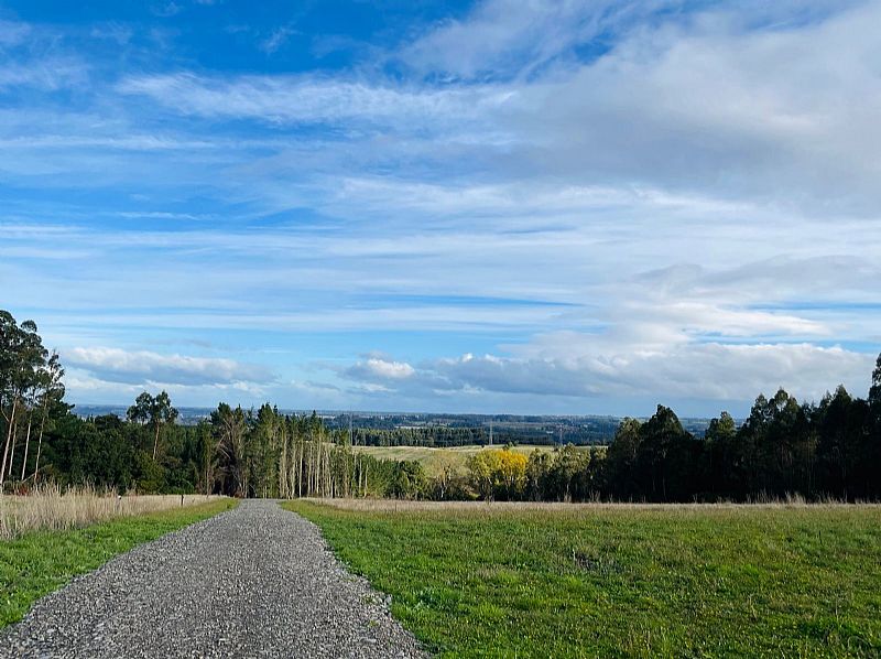 Venta Parcela Osorno - Los Lagos