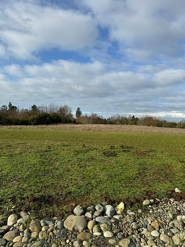 Venta Parcela Osorno - Los Lagos