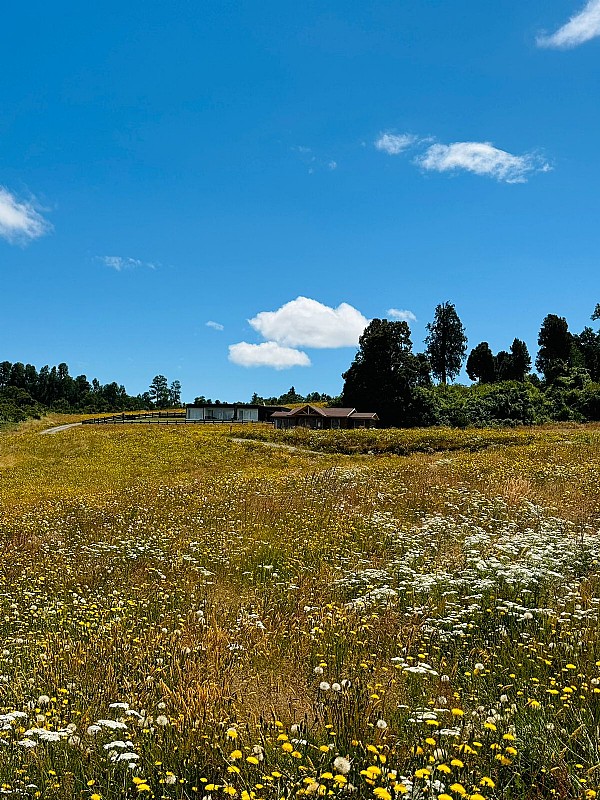 Venta Parcela Frutillar - Los Lagos