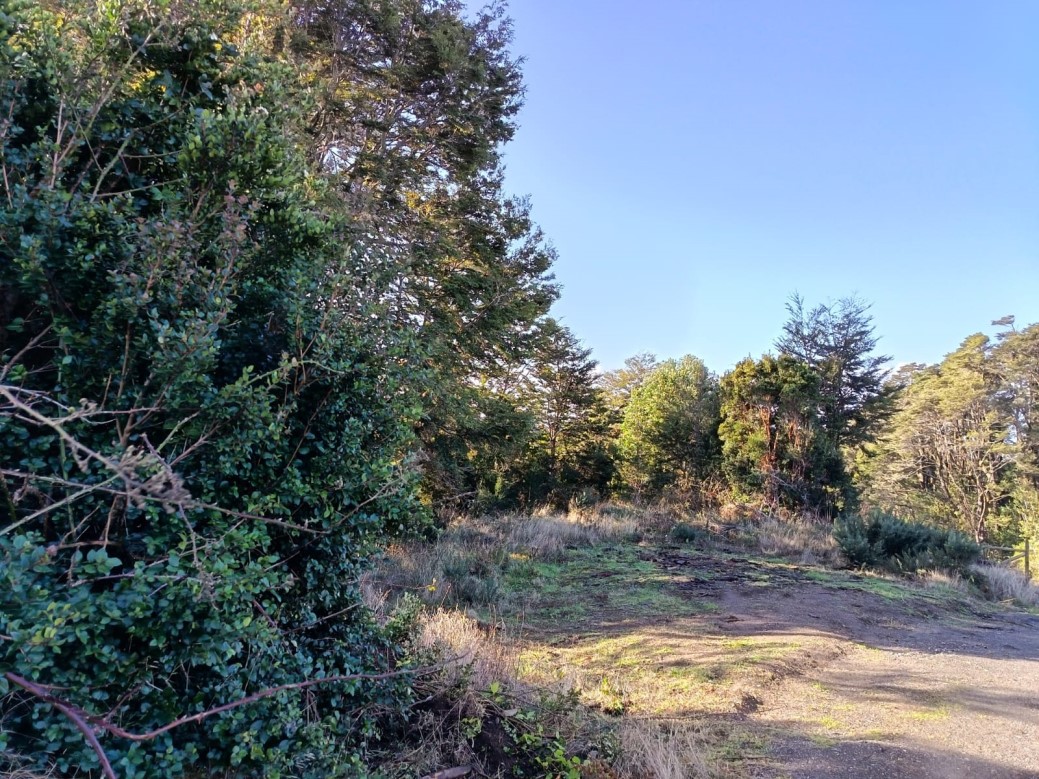 Terreno en Puqueldón
