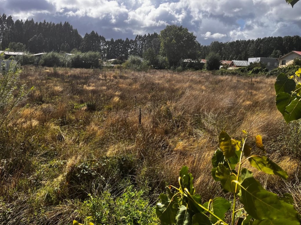 Terreno en Valdivia