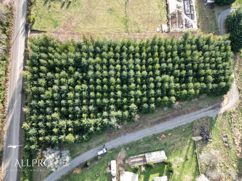 Terreno en Villarrica