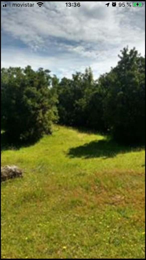 Terreno en Hualaihué