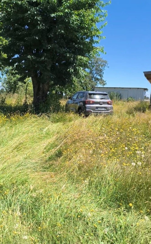 Terreno en Río Bueno