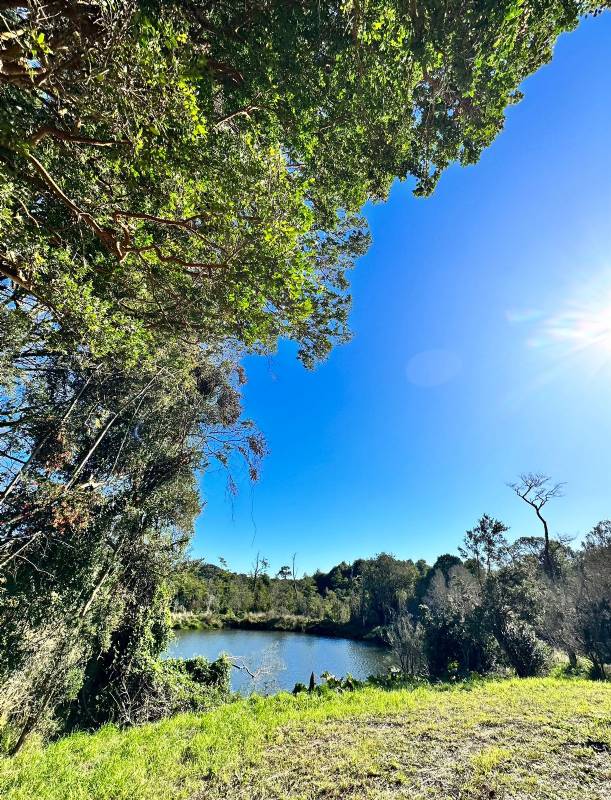 Terreno en Puerto Varas