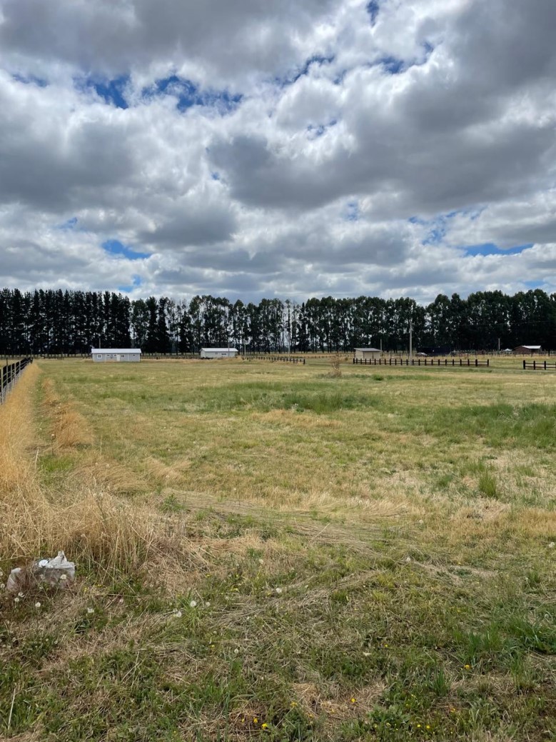 Terreno en Río Bueno