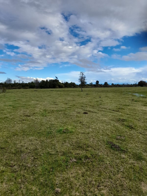 Terreno en Río Bueno