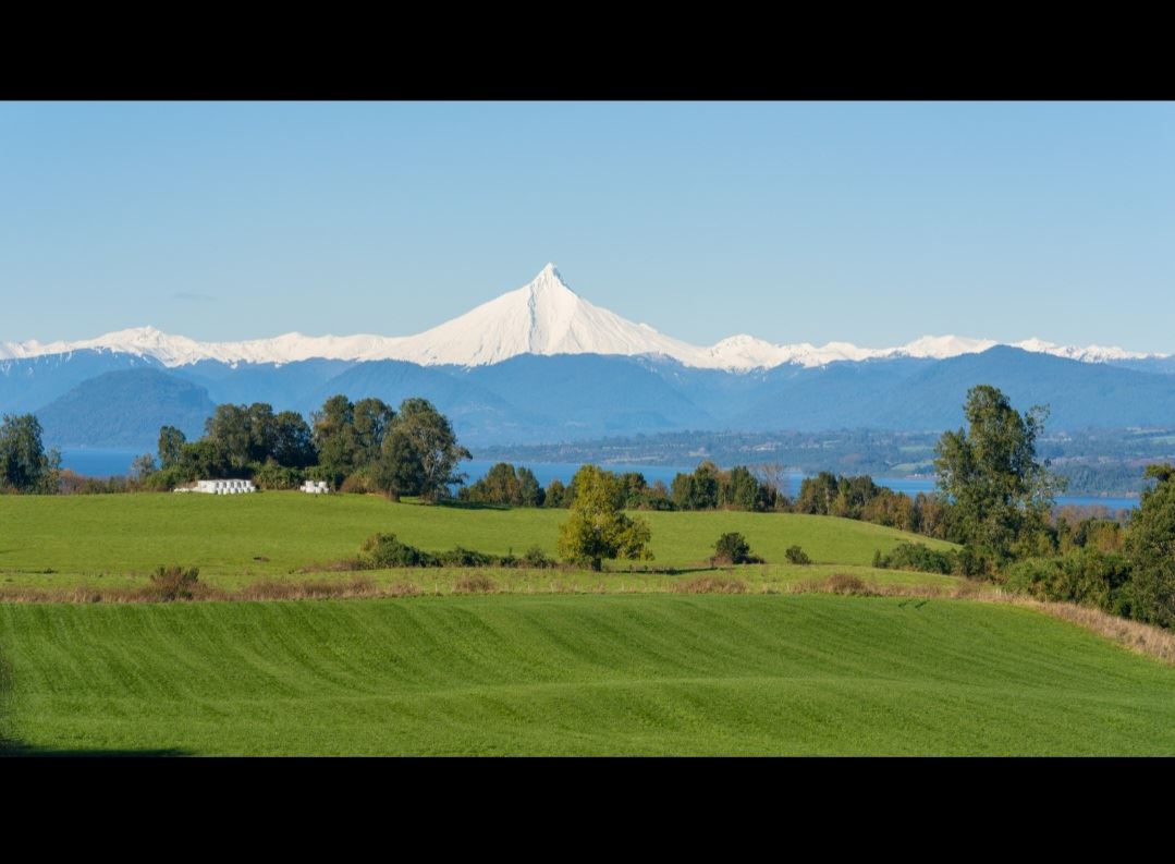 Venta Parcela Puyehue - Los Lagos