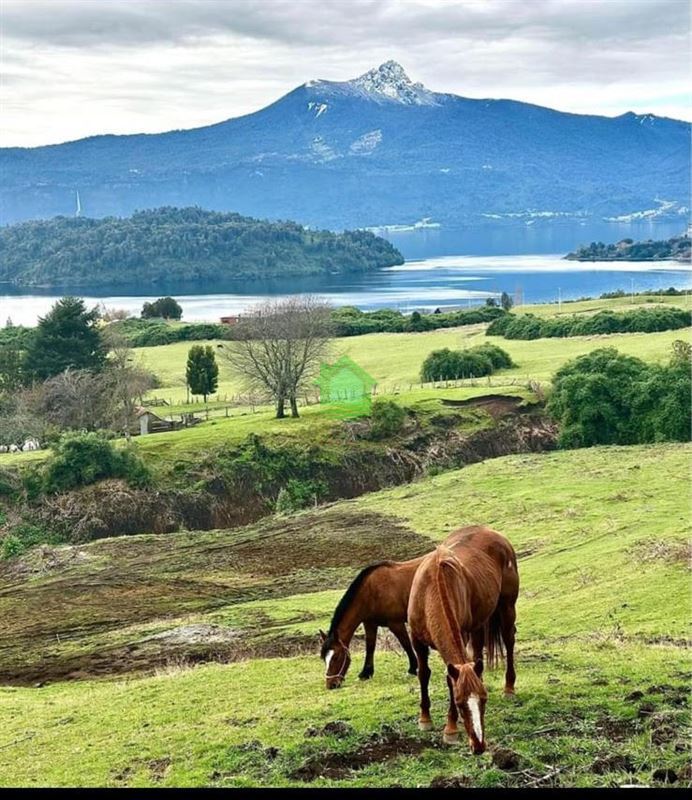 Venta Parcela Puyehue - Los Lagos