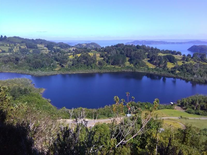 Venta Agrícola Lago Ranco - Los Ríos