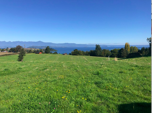 Venta Sitio Lago Ranco - Los Ríos