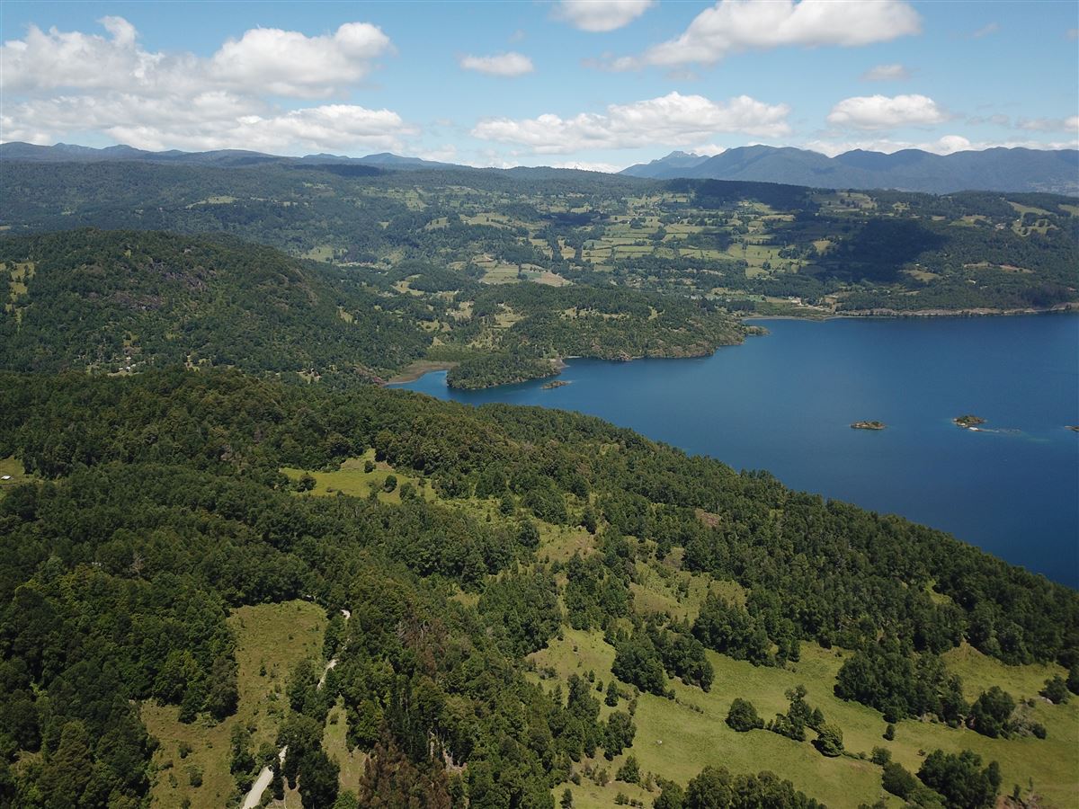 Venta Agrícola Panguipulli - Los Ríos