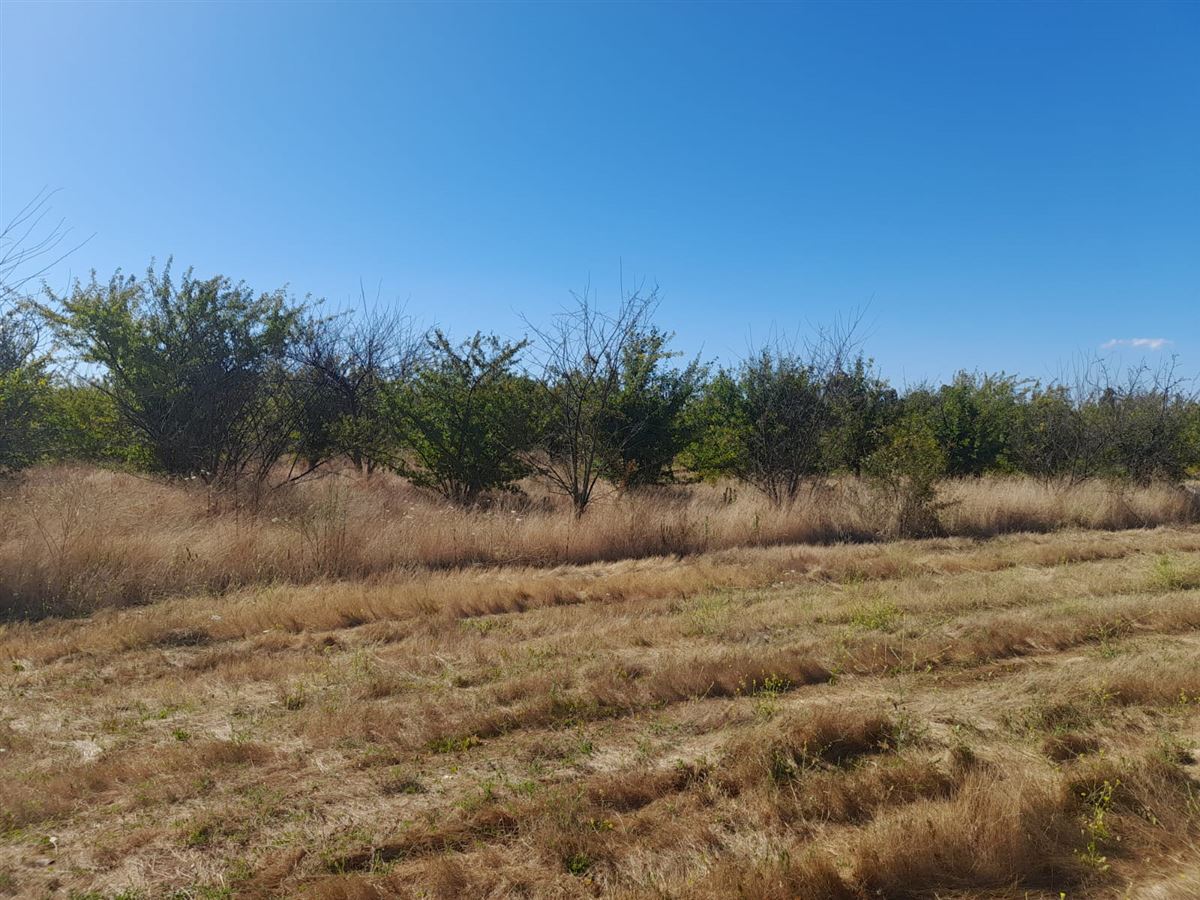 Venta Parcela Talca - Maule