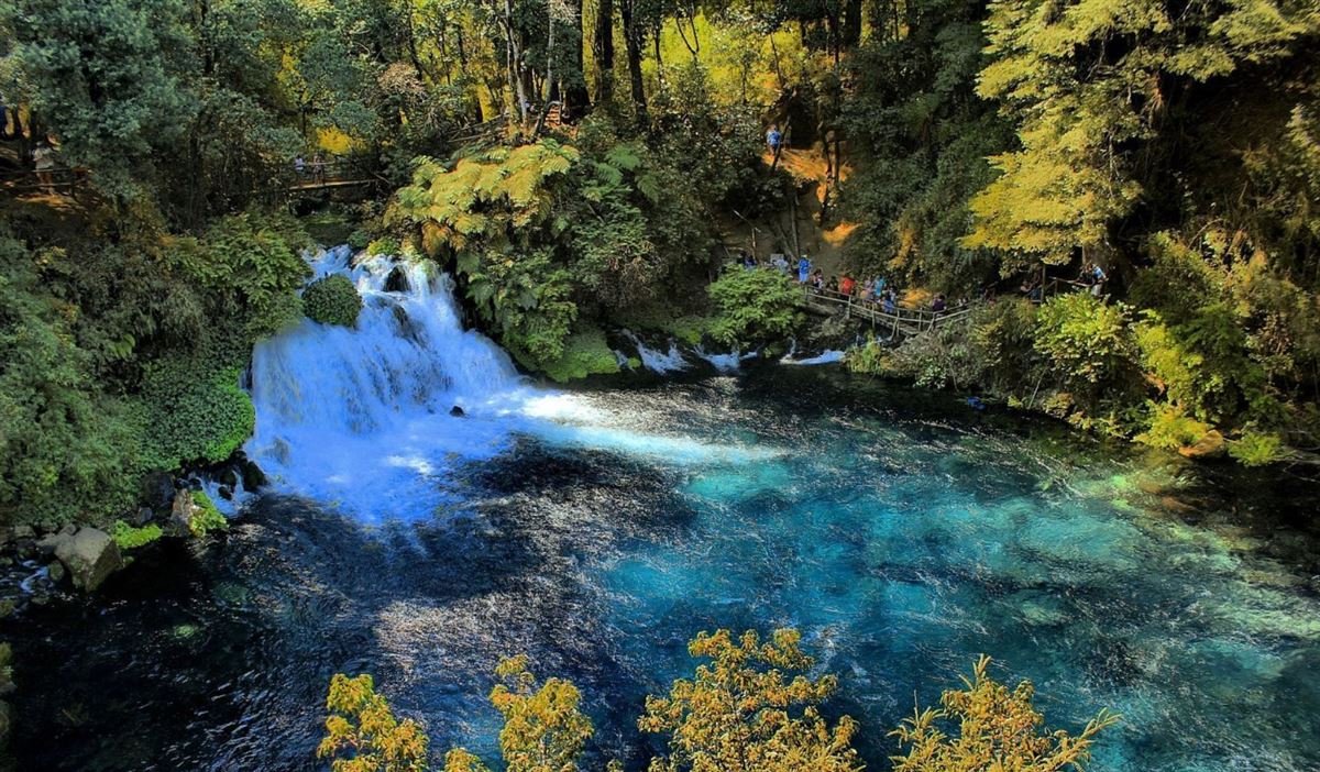 Venta Sitio Pucón - La Araucanía