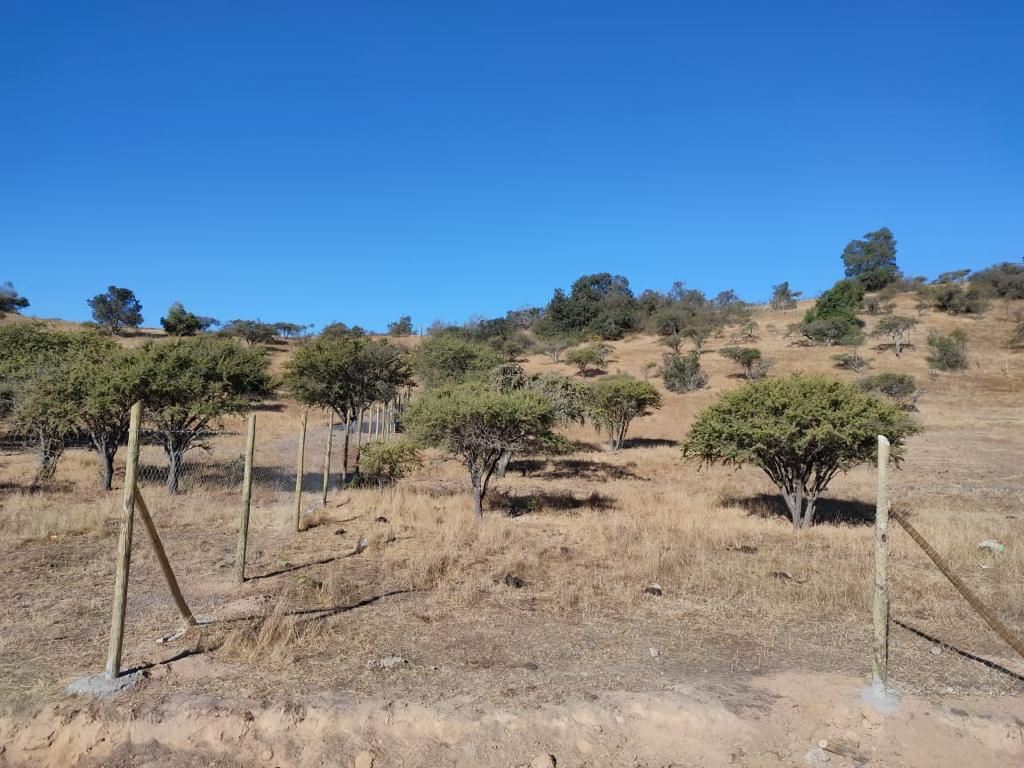 Venta Sitio Pumanque - O'Higgins