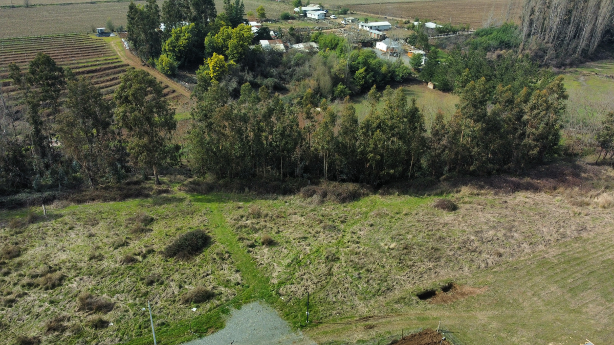 Venta Parcela San Clemente - Maule