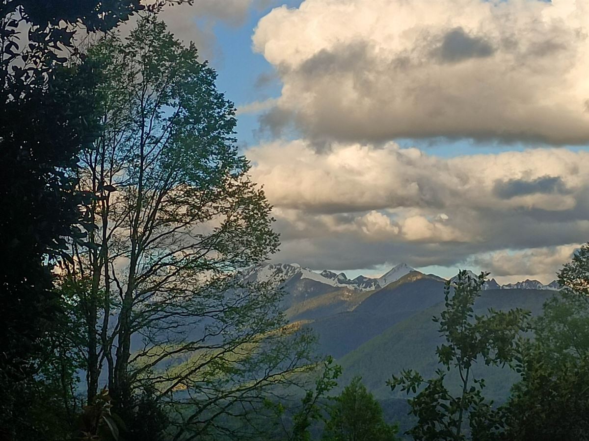 Venta Parcela Pucón - La Araucanía