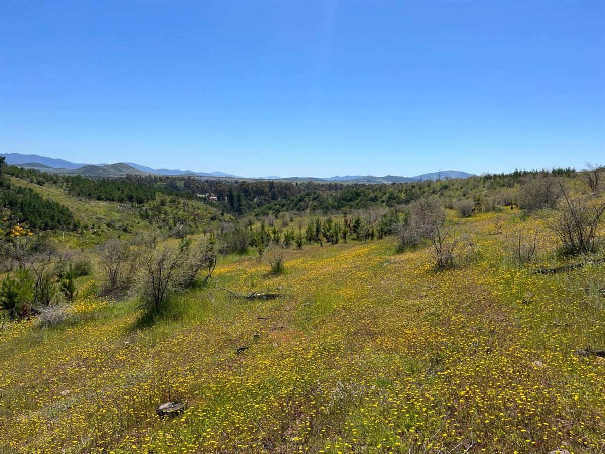 Venta Parcela Talca - Maule