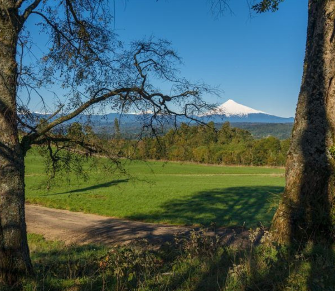 Venta Parcela Villarrica - La Araucanía