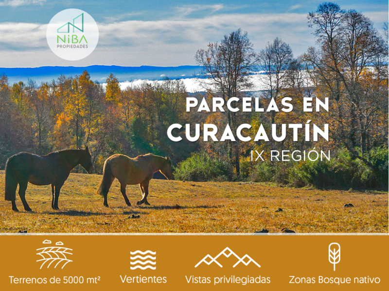 Venta Parcela Curacautín - La Araucanía