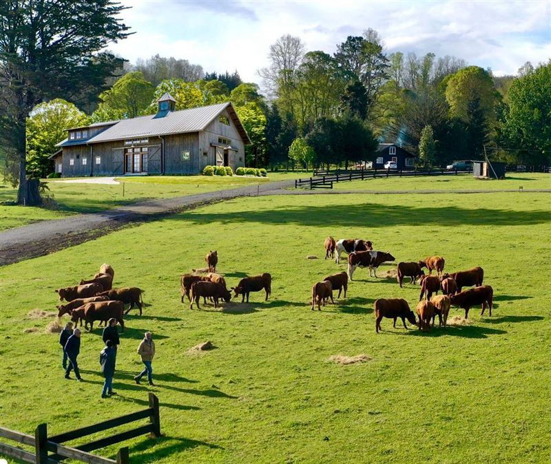 Venta Parcela Villarrica - La Araucanía