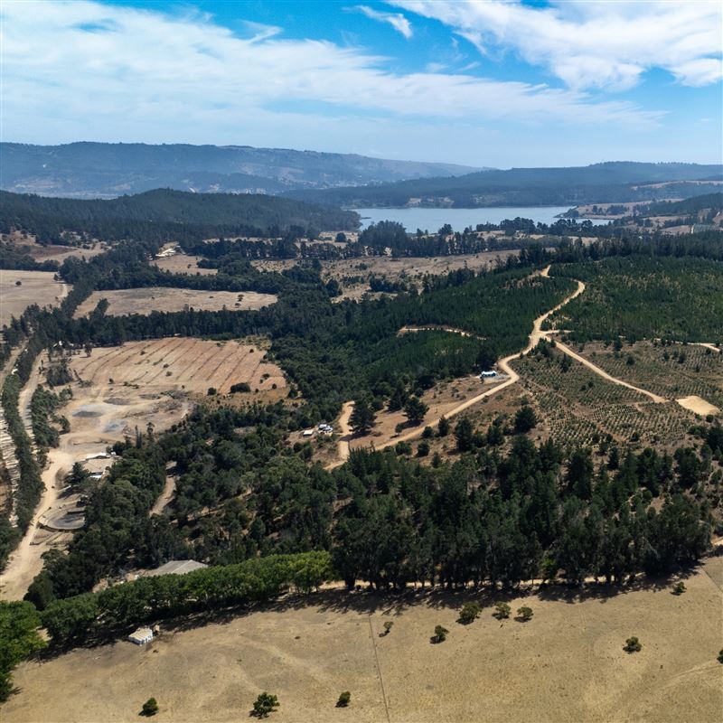 Venta Parcela Vichuquén - Maule