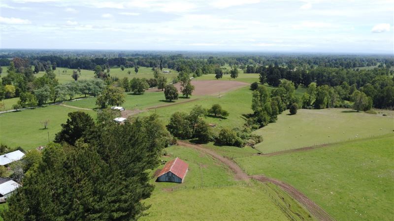 Venta Parcela Lago Ranco - Los Ríos