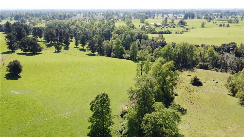 Venta Parcela Lago Ranco - Los Ríos