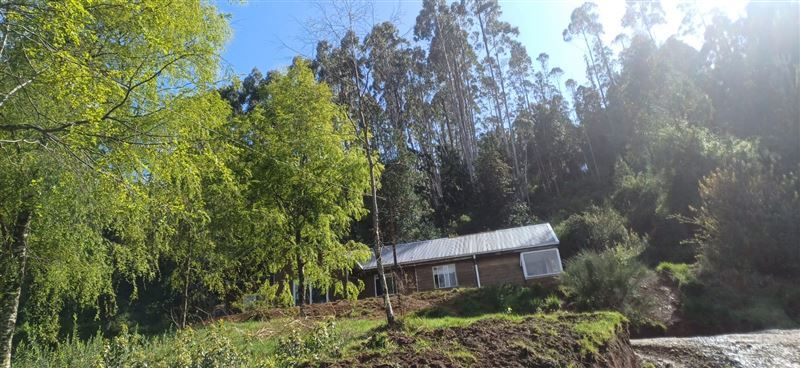 Arriendo Parcela Valdivia - Los Ríos