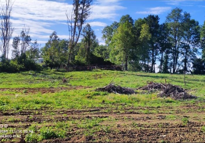 Venta Parcela Gorbea - La Araucanía