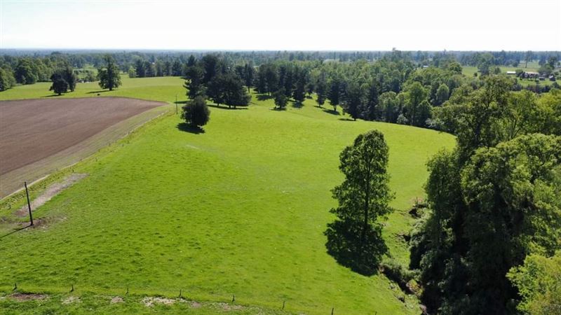 Venta Parcela Lago Ranco - Los Ríos