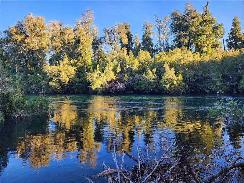 Venta Parcela Puyehue - Los Lagos