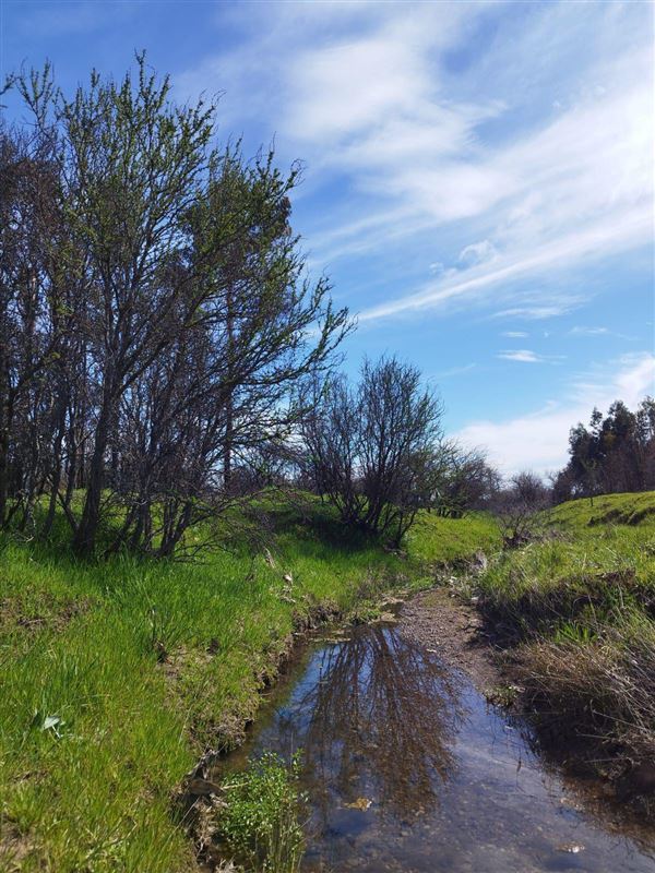 Venta Parcela Chillán - Ñuble