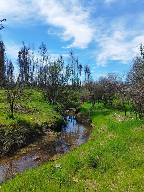 Venta Parcela San Nicolás - Ñuble