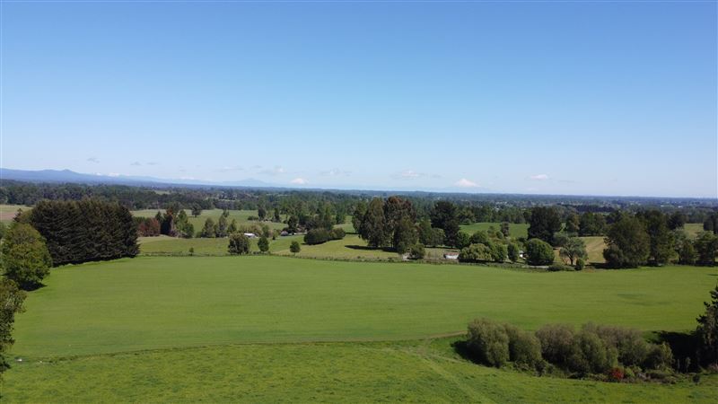 Venta Parcela Lago Ranco - Los Ríos