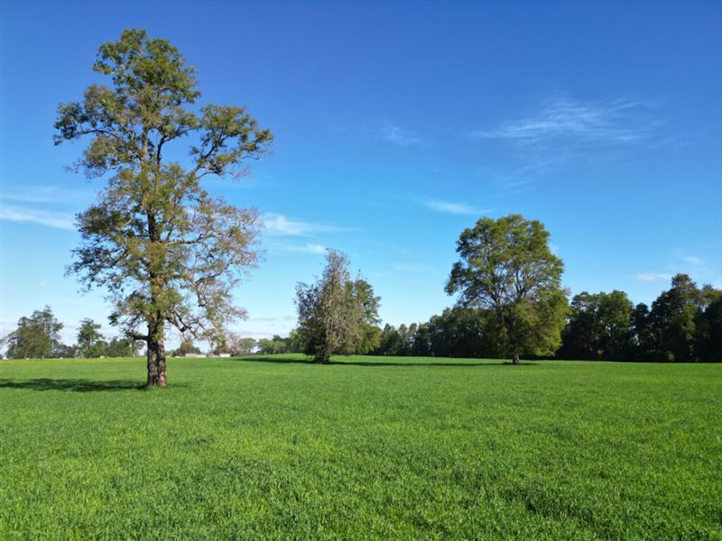 Venta Parcela Frutillar - Los Lagos