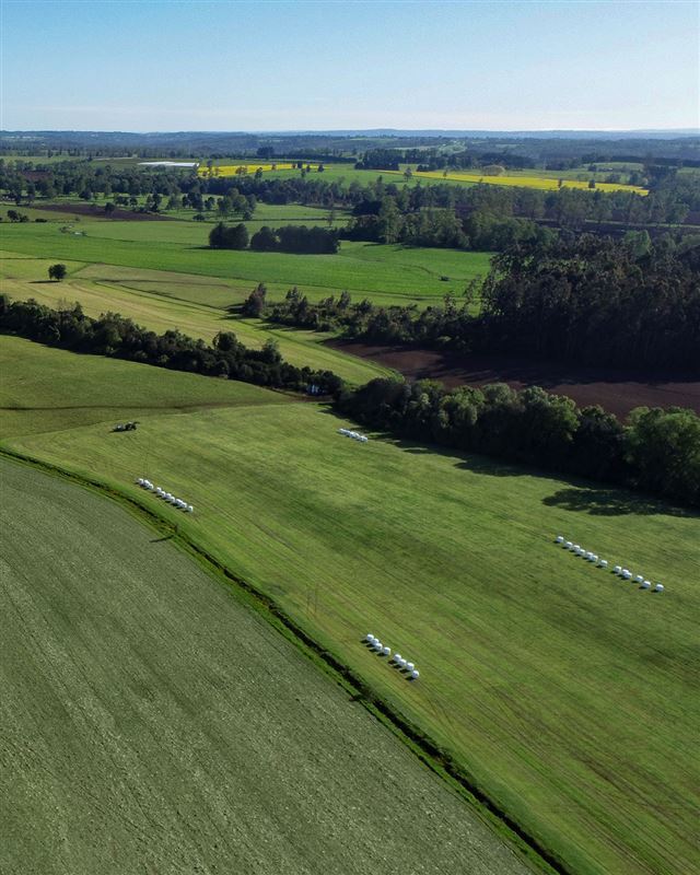 Venta Parcela Osorno - Los Lagos