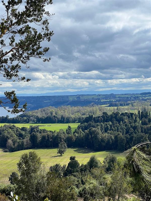 Venta Parcela Puerto Octay - Los Lagos