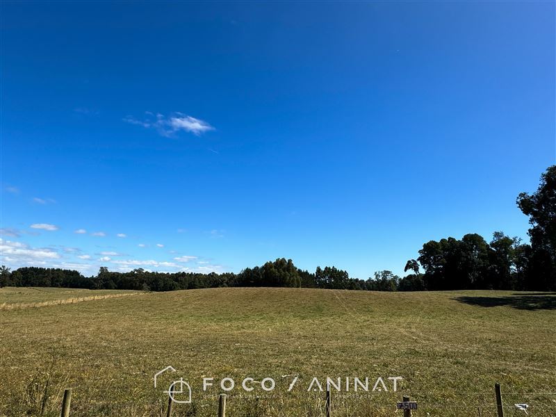 Terreno en Río Bueno