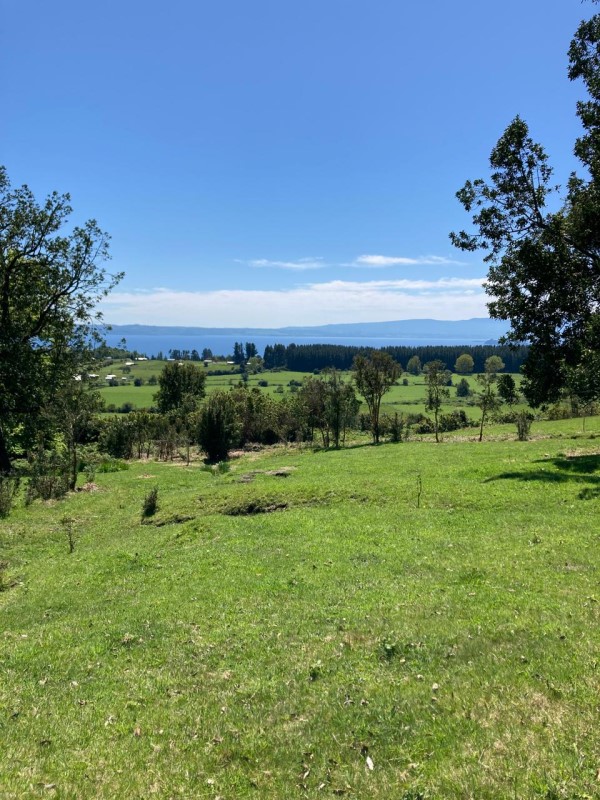 Venta Agrícola Lago Ranco - Los Ríos