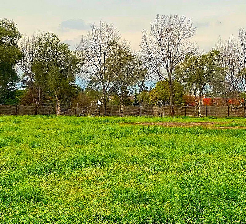 Venta Parcela Colina - Región Metropolitana