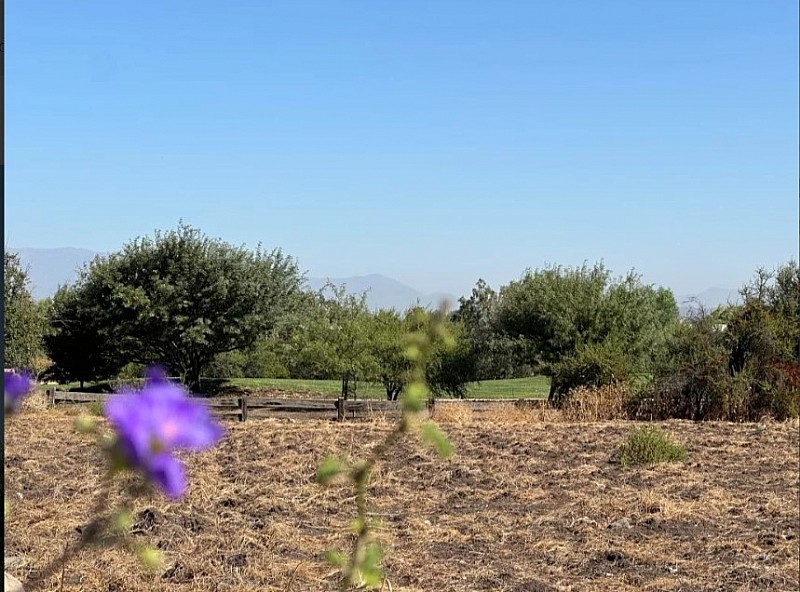 Venta Sitio Colina - Región Metropolitana