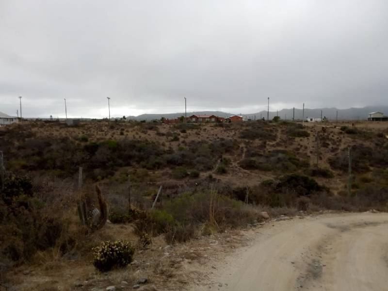 Venta Parcela La Ligua - Valparaíso