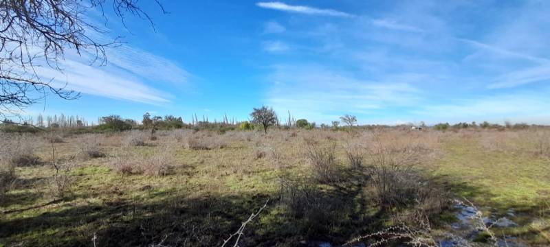 Venta Agrícola San Carlos - Ñuble