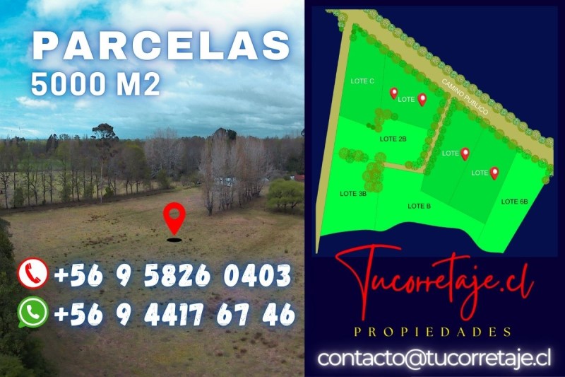 Venta Parcela Purranque - Los Lagos