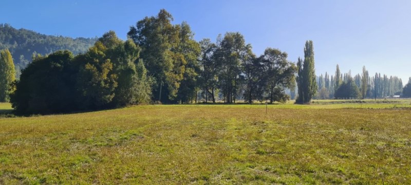 Venta Parcela Loncoche - La Araucanía