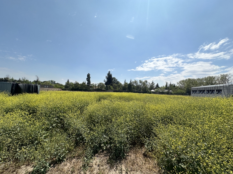 Venta Sitio Colina - Región Metropolitana