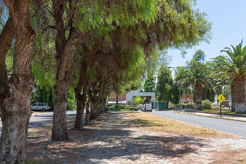 Venta Parcela Colina - Región Metropolitana